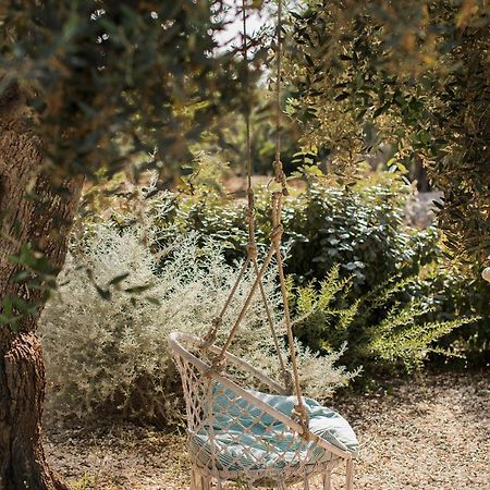 Fikus - The Apulian B&B Чельє-Мессапіка Екстер'єр фото