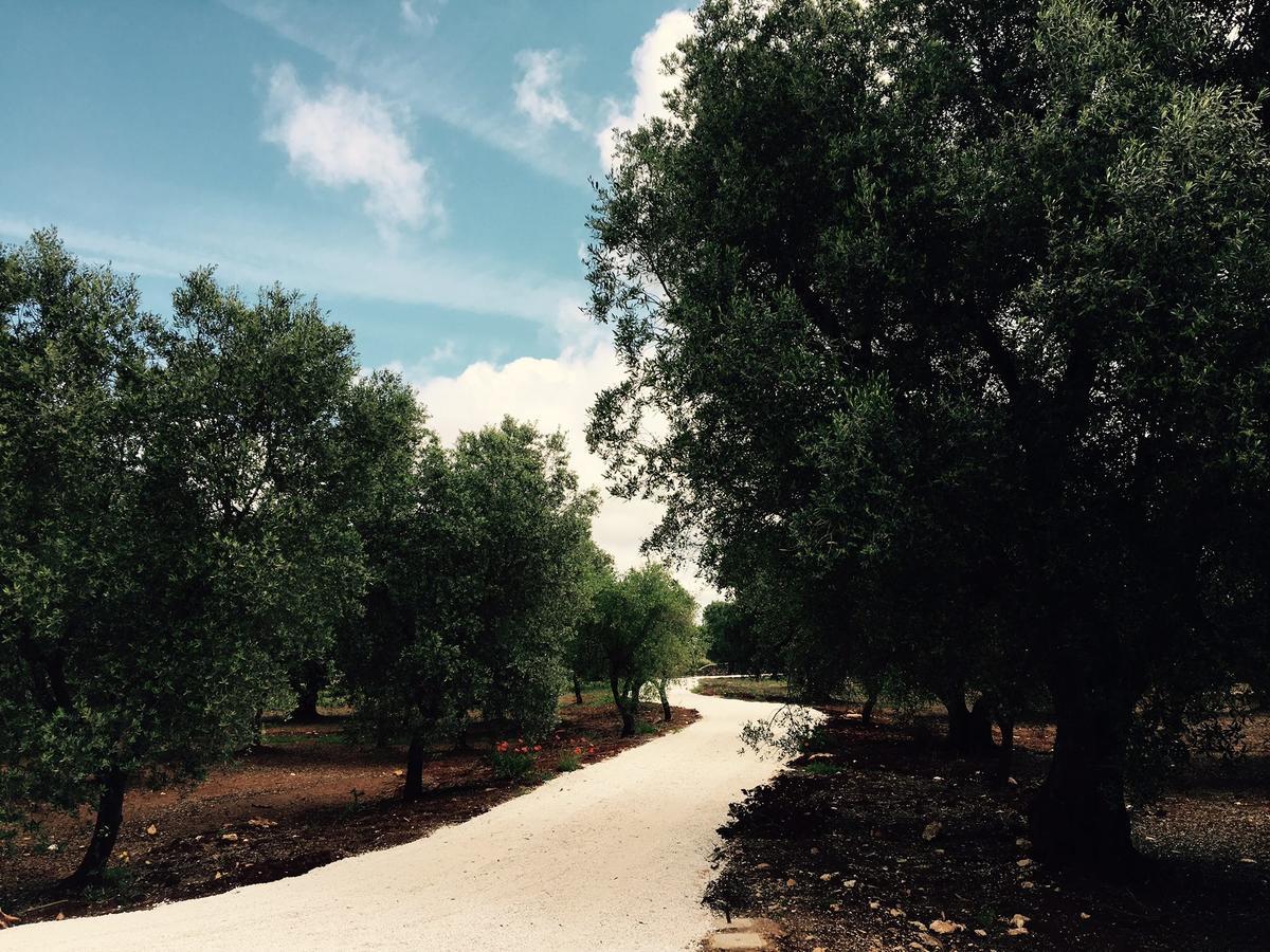 Fikus - The Apulian B&B Чельє-Мессапіка Екстер'єр фото