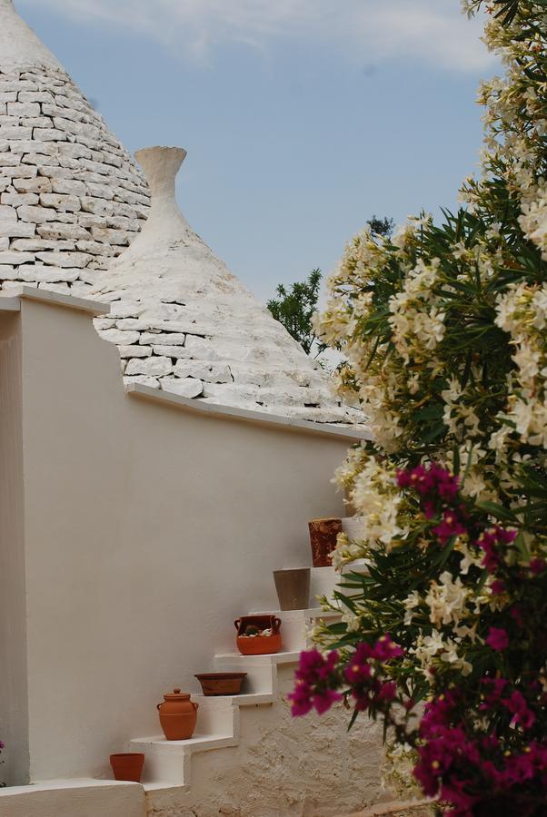Fikus - The Apulian B&B Чельє-Мессапіка Екстер'єр фото