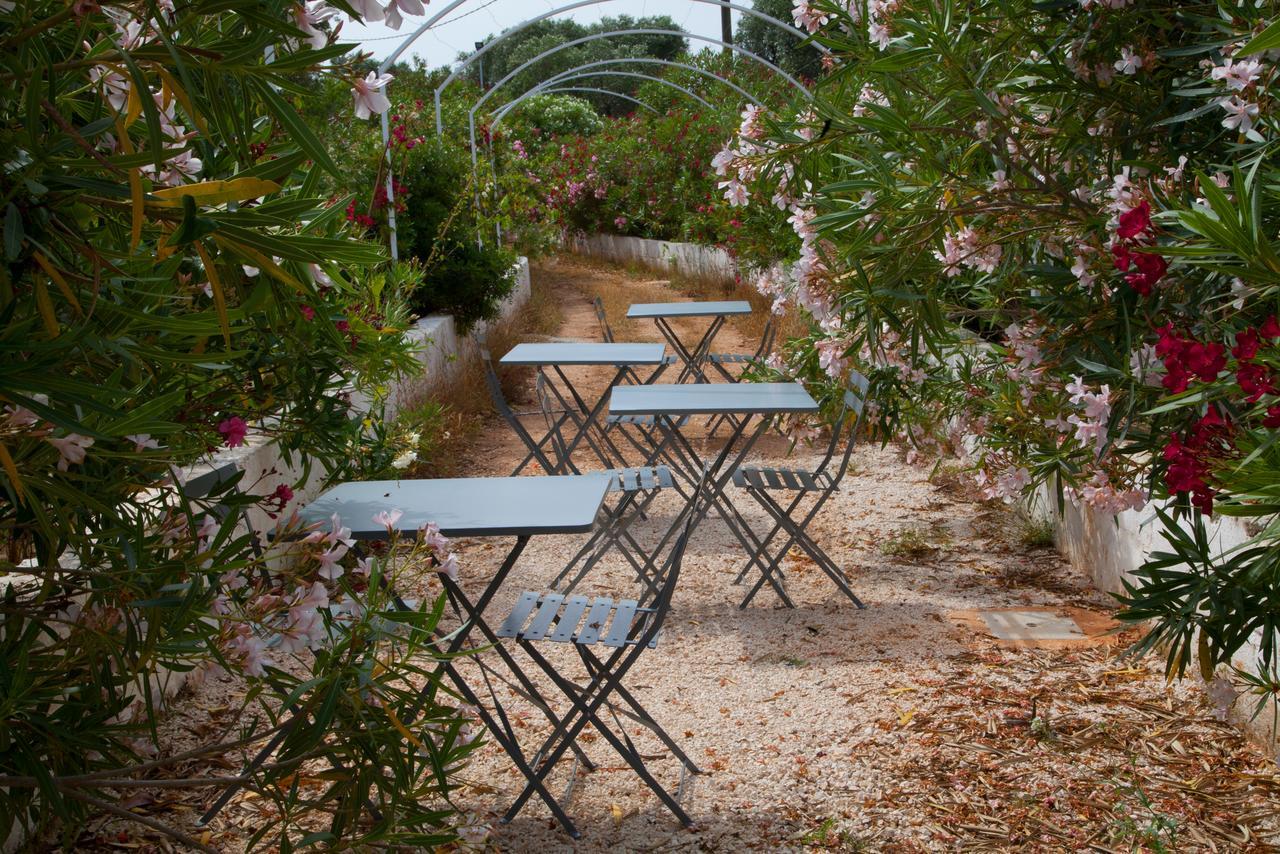 Fikus - The Apulian B&B Чельє-Мессапіка Екстер'єр фото